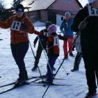 Závody štafet v běhu na lyžích